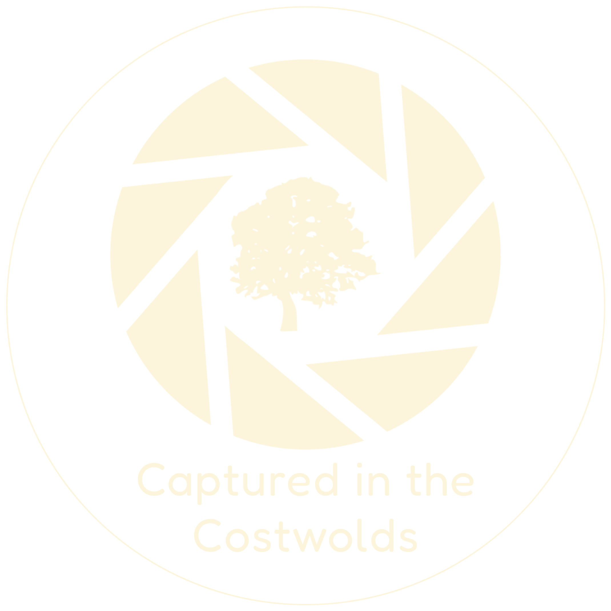 Captured in the Cotswolds